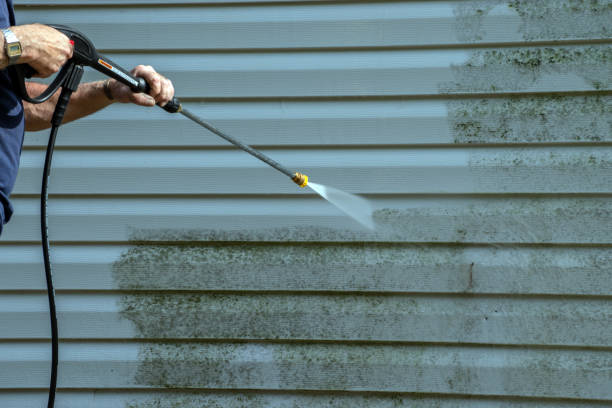 Best Gutter Cleaning  in South St Paul, MN